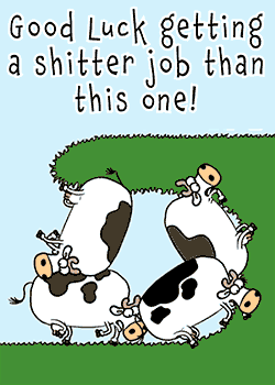 Bad Jobs