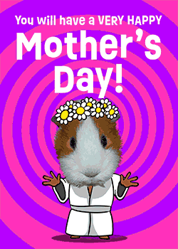 Guinea Pig Mother's Day