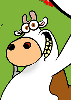 Love cow selfie