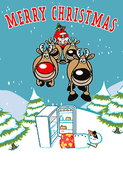 Santa Flyby
